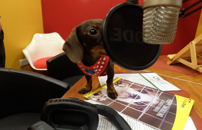 ON Broadcast Blog