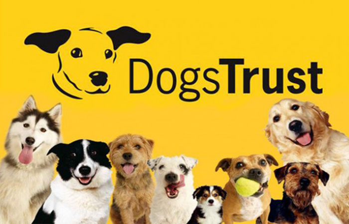 Dogs Trust Various Projects ON Contentled broadcast
